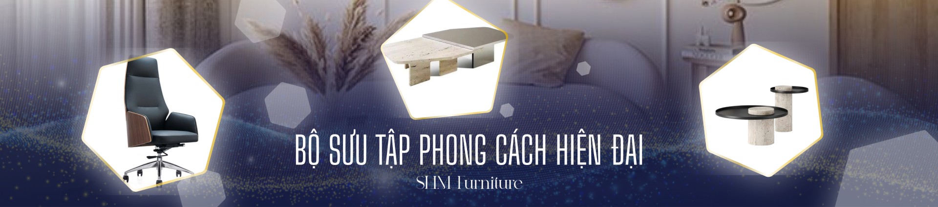 Bộ sưu tập hiện đại